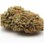 Шишки AK47  (Гидропоника, Бошка) VHQ в Городце